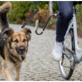 Povodac za bicikl za srednje i velike pse | ePonuda.com