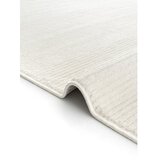Conceptum Hypnose tepih u krem boji vetrina 3601 100 x 250 (860BLN3261)