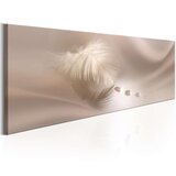  Slika - Delicate Feather 120x40 Cijene