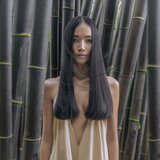 Paul Mitchell Awapuhi Wild Ginger Styling Treatment Oil regenerirajuće ulje za suhu i oštećenu kosu 100 ml | shoptok.hr
