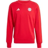 FC Bayern München DNA pulover