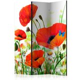  Paravan u 3 dijela - Country poppies [Room Dividers] 135x172 Cijene