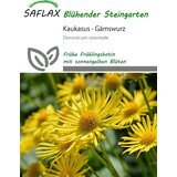 Saflax Kavkaški divjakovec - 50 zrn. | Shoptok.si