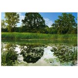  Tapeta - The Magic Pond 250x175 | shoptok.hr