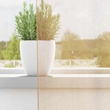 Voile zavjese s džepovima za šipke 2 kom boja pijeska | Shoptok.si