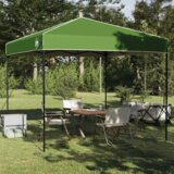 vidaXL Nadstrešni šotor Zelena 250 x 250 x 227 / 236 / 245 cm | Shoptok.si