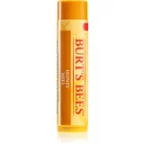 Burt's Bees Lip Care balzam za ustnice z medom (with Honey & Vitamin E) 4,25 g