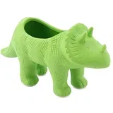 saksija - dinosauria triceratops