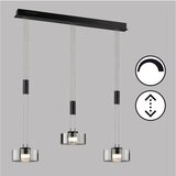 Fischer & Honsel Črna kovinska LED zatemnitvena viseča svetilka Lavin – | Shoptok.si