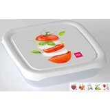  Premium Frigo box - četvrtasti 0.5L | Eponuda.com