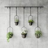Umbra SET STENSKIH POSOD ZA ROŽE | Shoptok.si