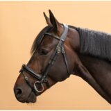 Olimp Sport Ular od štrasa 580 za jahanje Crni | ePonuda.com