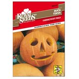 ROYAL SEEDS Sjeme povrća 167 TIKVA CONNECTICUT FIELD | shoptok.hr
