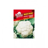 ROYAL SEEDS Sjeme karfiol Snježna grudva Maxi 002 208-02800 | Eponuda.ba