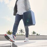 Ld Systems ANNY® 8 HHD B5 Akumulatorsko ozvočenje + 1x brezžični mikrofon - - Audio-Kondric | Shoptok.si