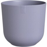  Jazz rund 30 cm - sivkino vijolična Cene