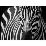  Tapeta - White with black stripes 300x231 | shoptok.hr