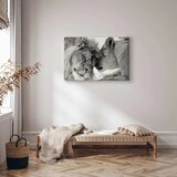 Slika - Lion\'s Love 60x40 Standard | shoptok.hr