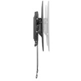 Stell SLIM nosač 43"-100" SHO 3630 | shoptok.hr