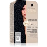 Schwarzkopf 1-1 hladno crna boja za kosu Cene