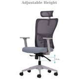 Hanah home Set 2 kancelarijske stolice Lumbar 126 Grey | ePonuda.com