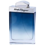 Salvatore Ferragamo subtil pour homme toaletna voda 100 ml za moške Cene