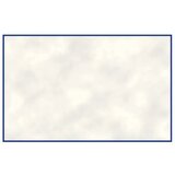 Avery Zweckform Vizitke 85 x 54 mm, 220 g/m² | Shoptok.si