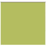 vidaXL Rolo zatemnitvena zavesa z listi zelene barve 150x175 cm, širina blaga 146,6 cm, poliester, (5000297603) | Shoptok.si