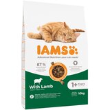 IAMS Advanced Nutrition Adult Cat z jagnjetino - Varčno pakiranje: 2 x 10 kg | shoptok.hr