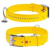 CLR WD 60 cm -Ogrlica za pse 46 | Eponuda.com