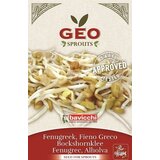 Bavicchi Bio kalčki "rakitovec" - 35 g Cene