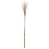  PAMPAS 90CM | Eponuda.ba