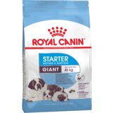 Royal Canin Size Nutrition Giant Starter - 3.5 kg Cene