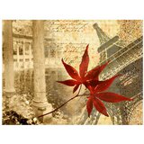  Tapeta - Autumn and Paris 350x270 | shoptok.hr