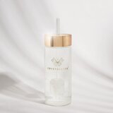 Crystallove Amethyst Straw Water Bottle Posoda za vodo s slamico Clear 400 ml | Shoptok.si