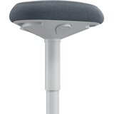 Leitz Ergonomski stol za aktivno sedenje Ergo – | Shoptok.si