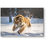  Slike na platnu ŽIVOTINJE_048-11 (moderne slike na platnu) | ePonuda.com