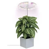 LED prigušiva unutrašnja lampa za uzgoj biljaka GROW LED/8W/5V
