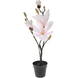 Diker HOME Veštačka magnolija u saksiji 50 cm roze Cene