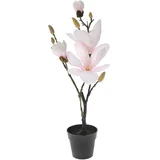 HOME Veštačka magnolija u saksiji 50 cm roze