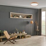  Brilagi - LED plafonsko svetlo MANAROLA SMART LED/24W/230V + daljinski upravljač Tuya | Eponuda.com