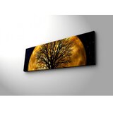 Wallity 3090DACT 71 Dekorativna LED slika, 30x90cm cijene