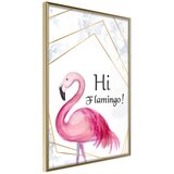  Poster - Pink Visitor 40x60 | shoptok.hr