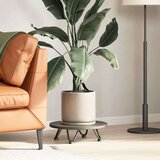  Noge s ukosnicama za stolić za kavu 4 kom. Prirodni čelik 10 cm Puni čelik - Prirodna 10 cm 1 2 rods | shoptok.hr