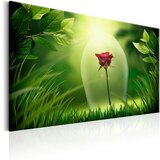  Slika - Magical Rose 120x80 Cijene