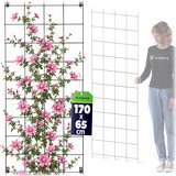 KADAX Vrtna pergola Kovinska opora za rastline, vrtnice, rože, pergola 65x170 cm, (5000361252) Cene