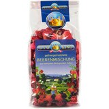 BioKing Mješavina bobica Bio - 40 g | shoptok.hr