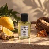 Acqua Di Parma Colonia Intensa kolonjska voda za muškarce 100 ml | shoptok.hr