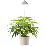  CANNA SUNLiTE LED svetilka za rastline 30 W Cene