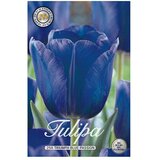  Lukovice proljetnog cvijeća Tulipan Triumph Blue Passion (Plava, Botanički opis: Tulipa, Broj cvjetnih lukovica: 10 Kom.) | shoptok.hr